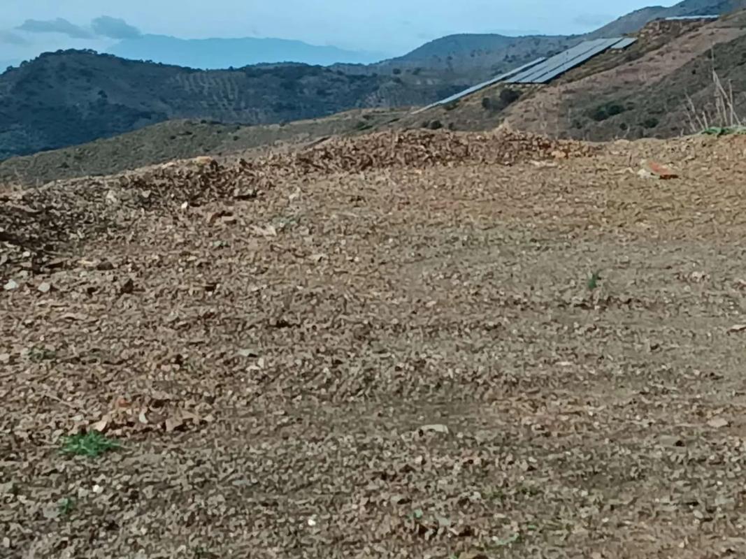 Terreno en venta en Moclinejo, Malaga photo 5