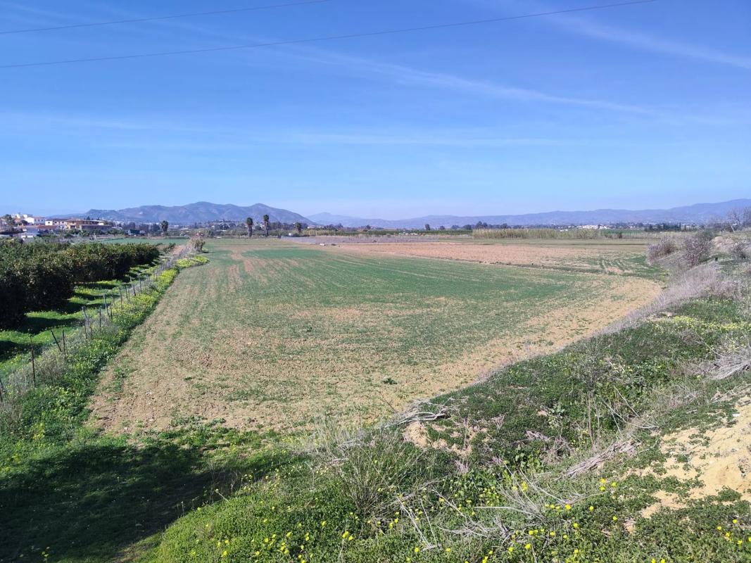 Land for sale in Alhaurín de la Torre, Malaga photo 5
