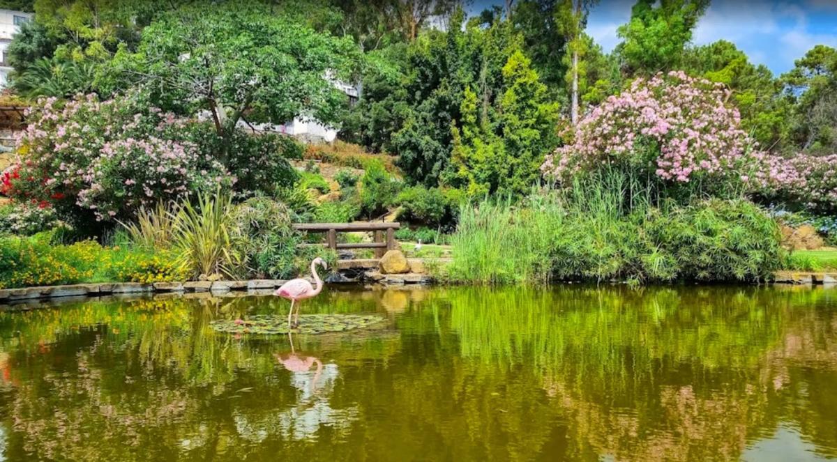 Land for sale in Benahavís, Malaga photo 3