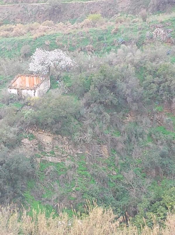 Terreno en venta en Torrox, Malaga photo 2
