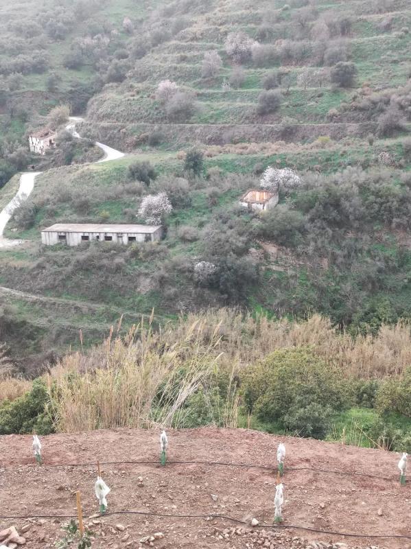 Terreno en venta en Torrox, Malaga photo 3