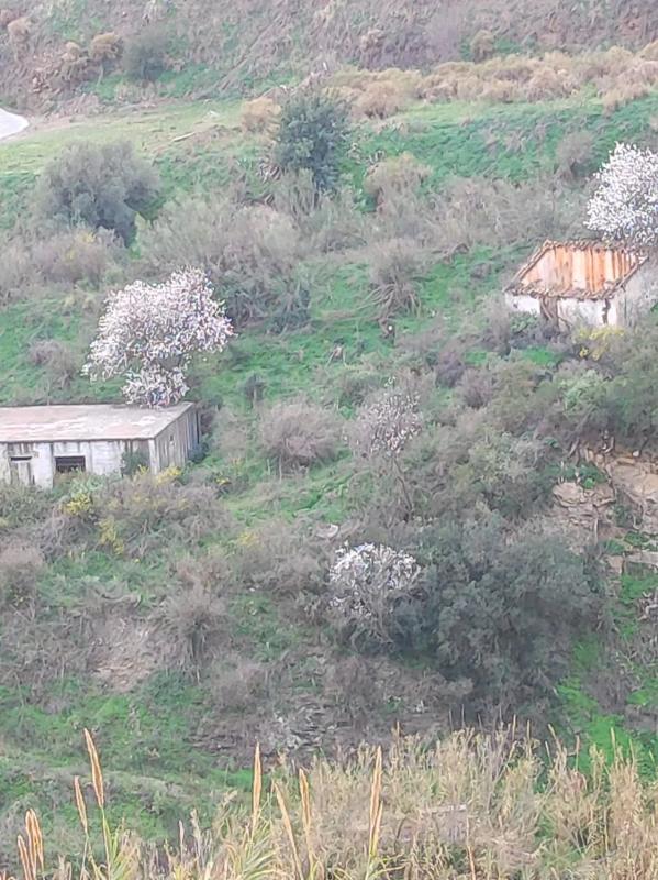 Terreno en venta en Torrox, Malaga photo 4