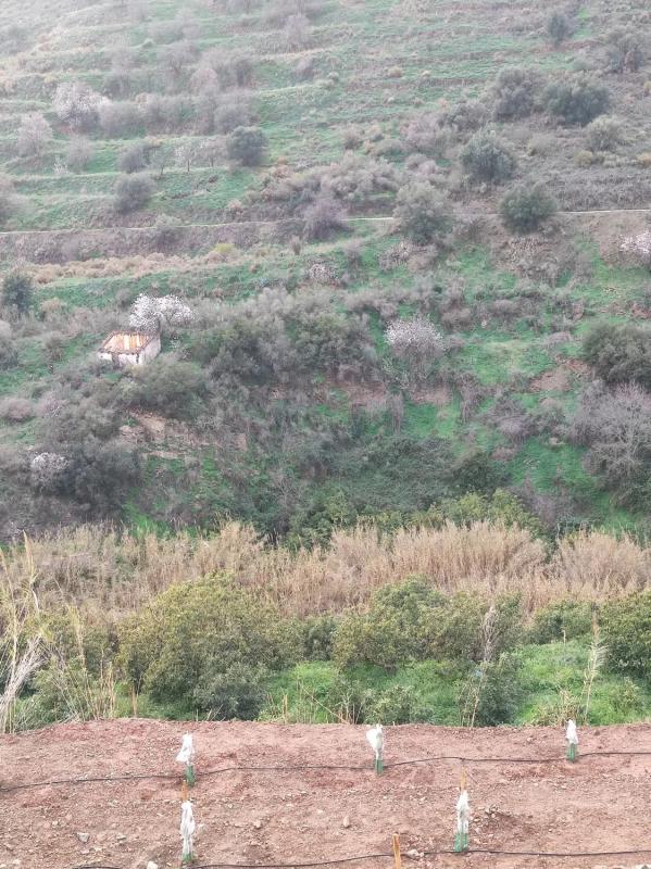 Terreno en venta en Torrox, Malaga photo 5