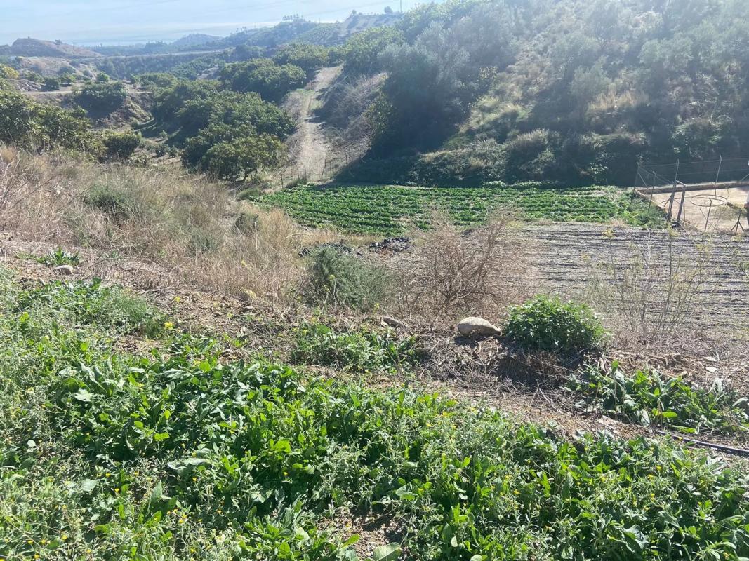 Działka na sprzedaż w Vélez-Málaga, Malaga photo 3