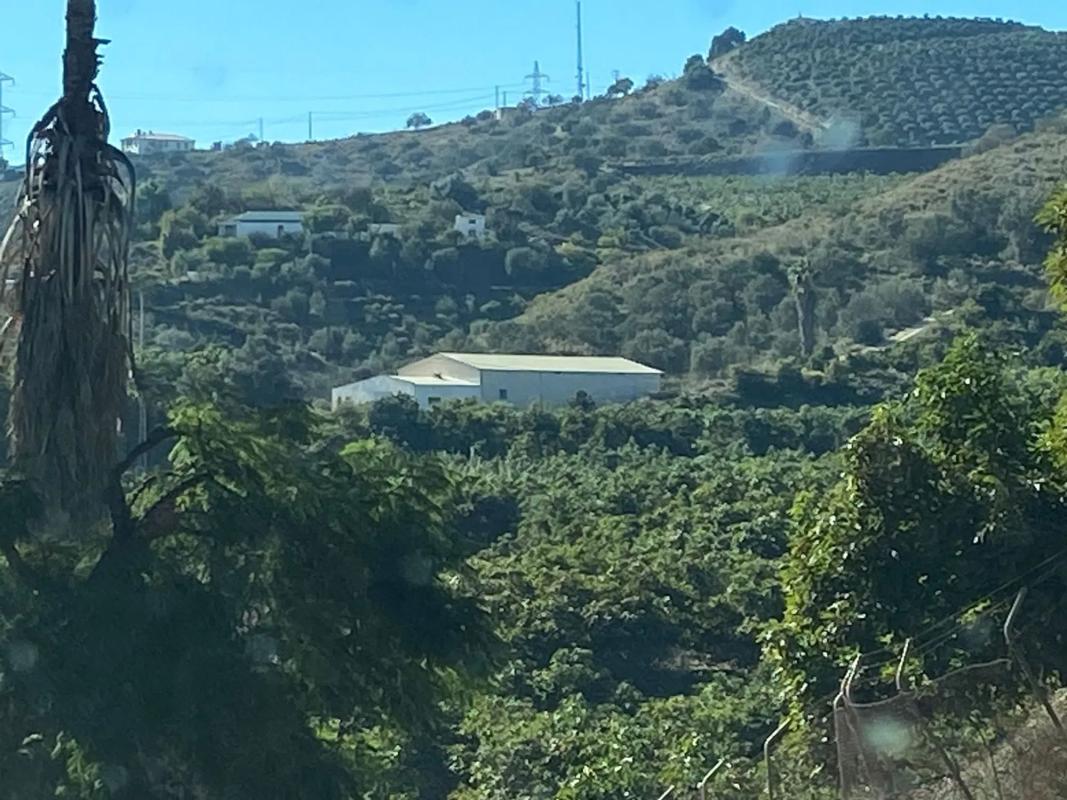 Działka na sprzedaż w Vélez-Málaga, Malaga photo 4