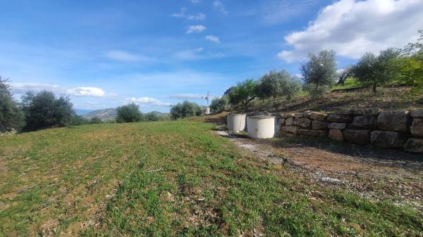 Terreno en Guaro photo 1