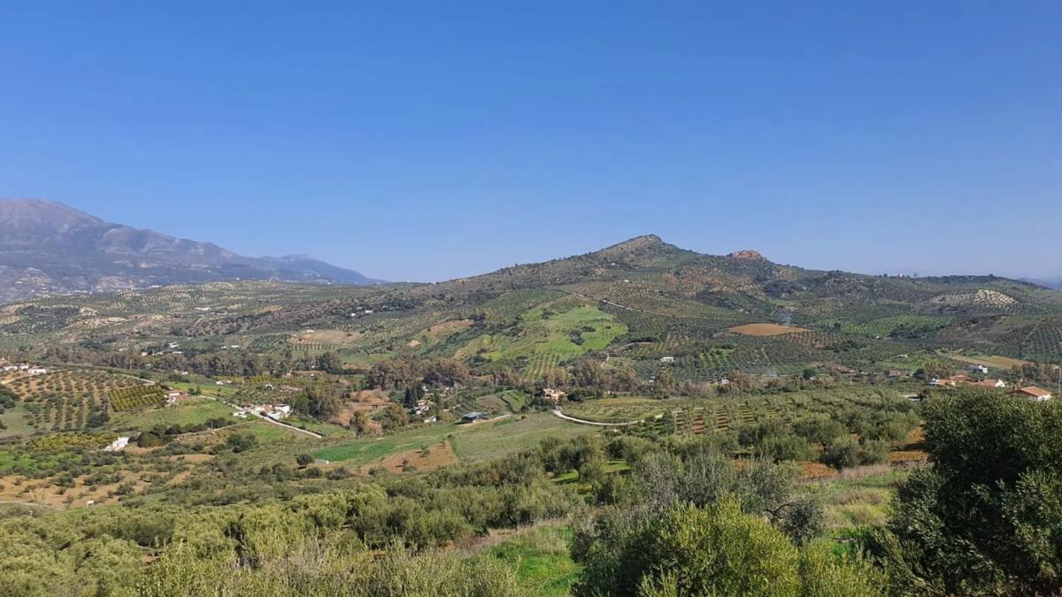 Działka na sprzedaż w Guaro, Malaga photo 3