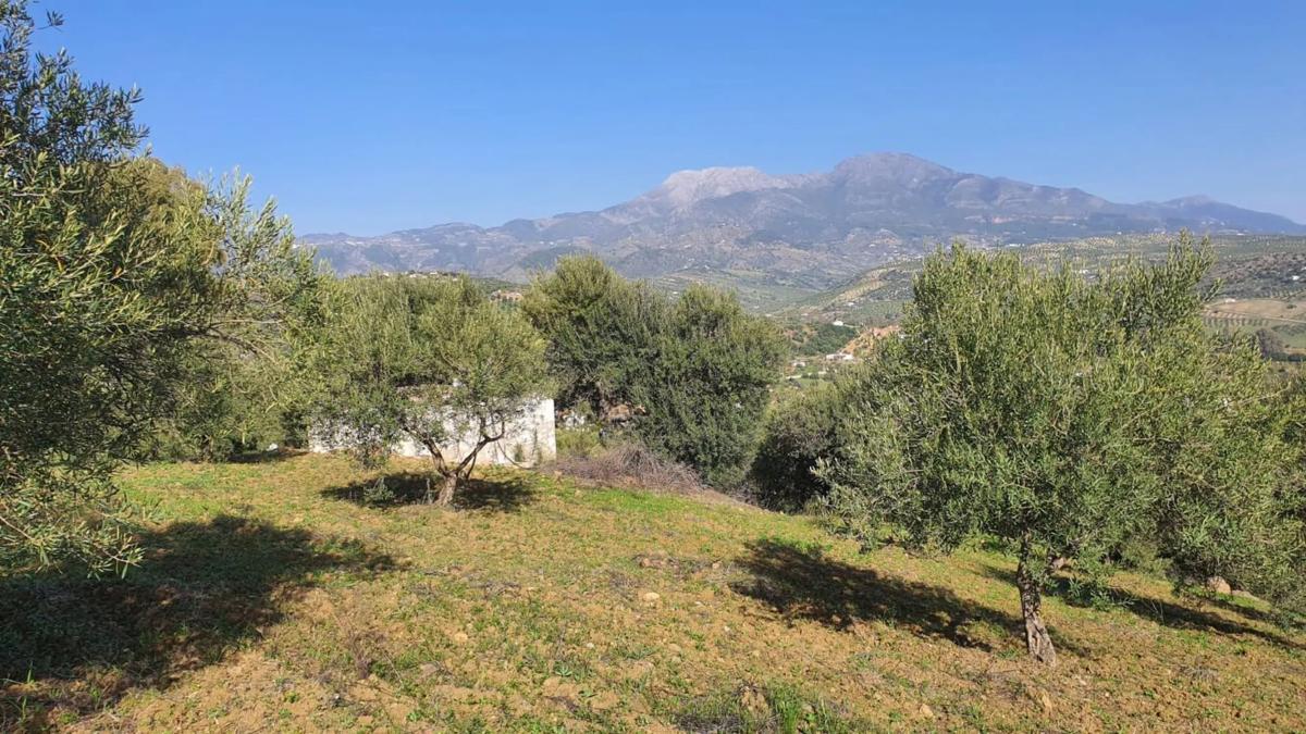 Działka na sprzedaż w Guaro, Malaga photo 4
