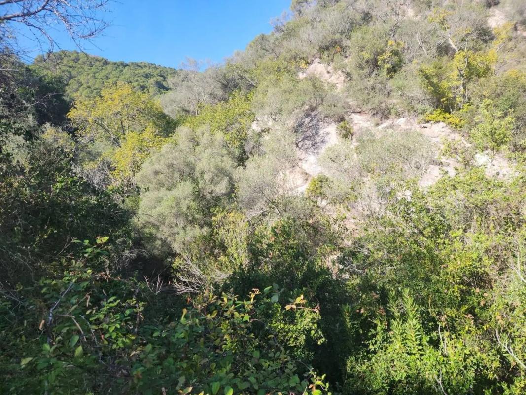 Działka na sprzedaż w Gaucín, Malaga photo 3
