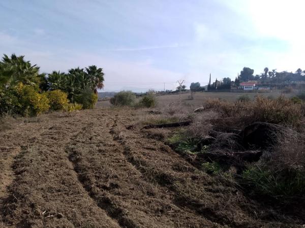 Terreno en carretera de la Dehesa Alta s/n photo 2