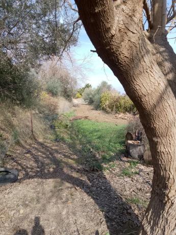 Terreno en carretera de la Dehesa Alta s/n photo 3