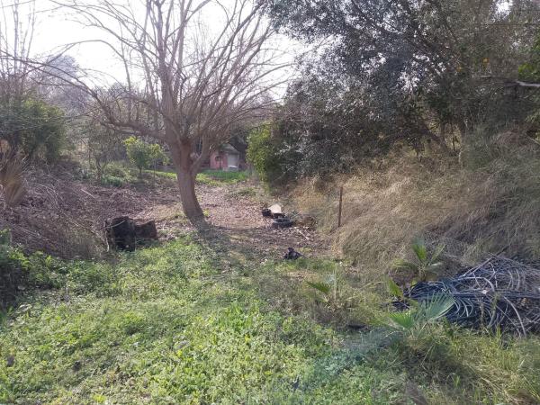 Terreno en carretera de la Dehesa Alta s/n photo 4