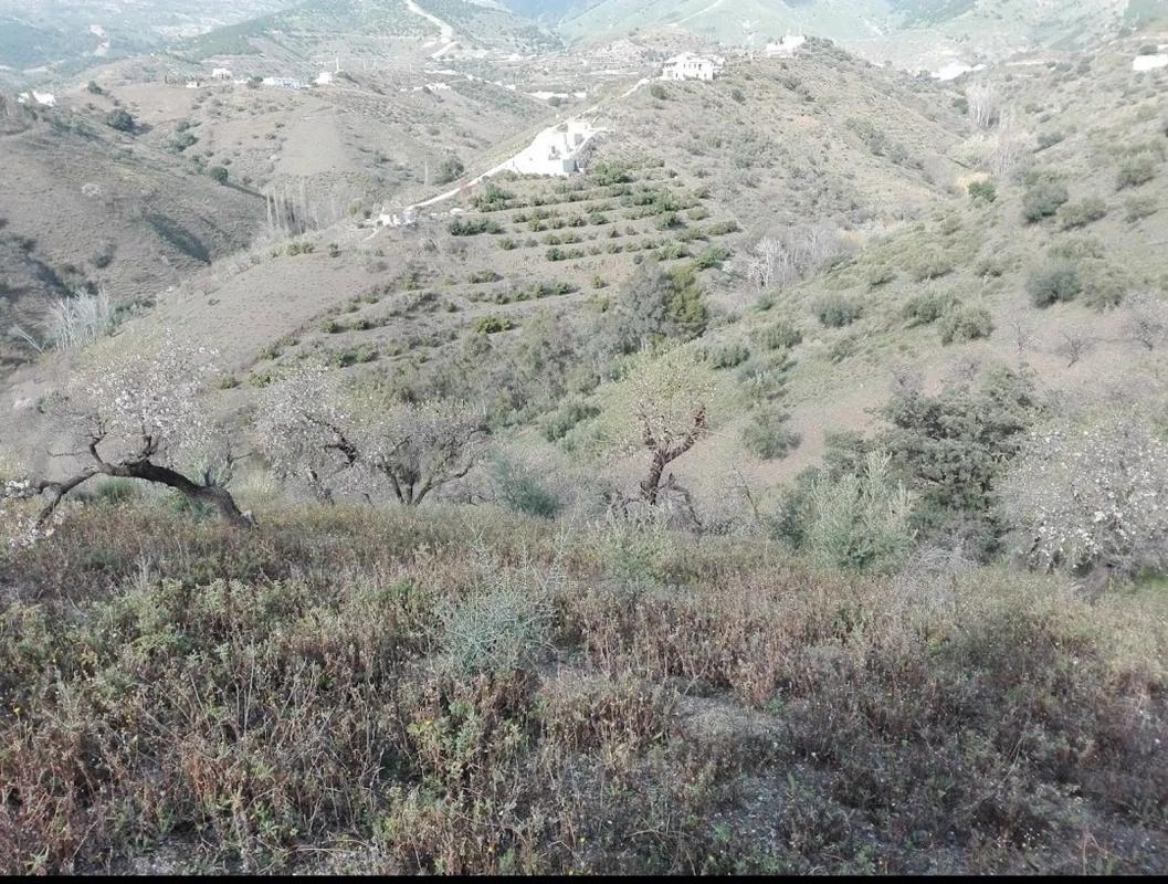 Terreno en venta en Sedella, Malaga photo 1