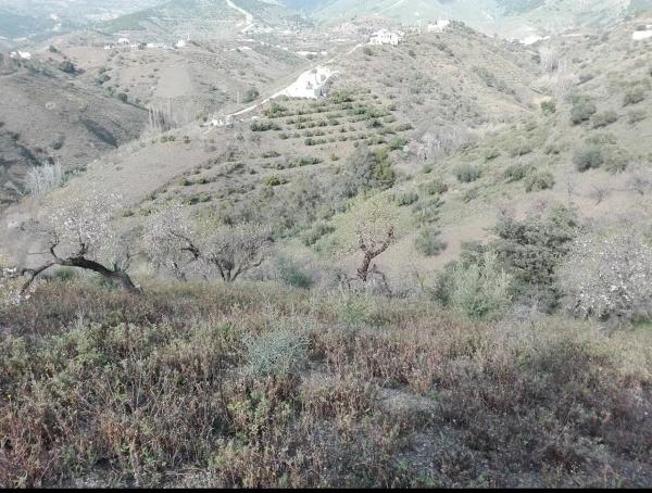 Terreno en Los Frailes s/n photo 1