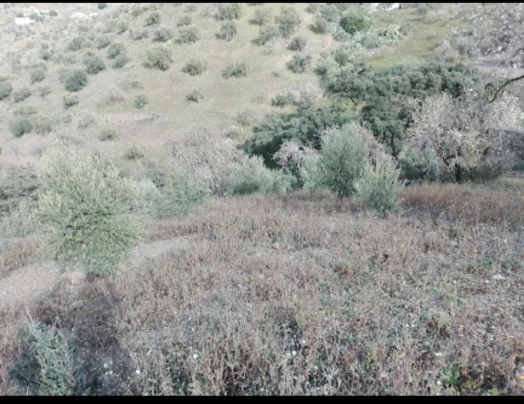 Terreno en venta en Sedella, Malaga photo 2