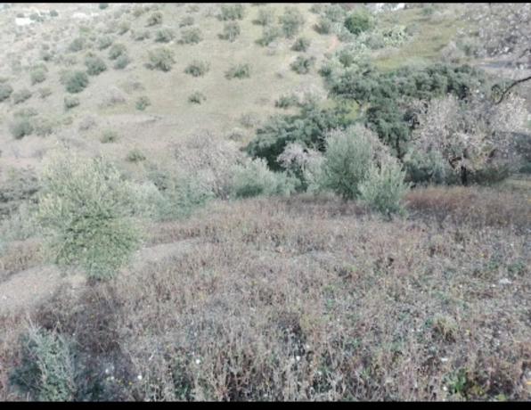 Terreno en Los Frailes s/n thumbnail 1