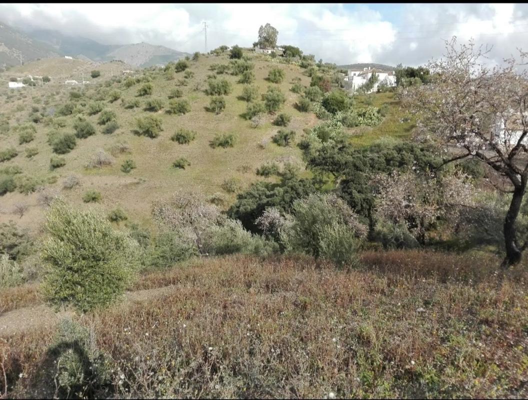 Terreno en venta en Sedella, Malaga photo 4
