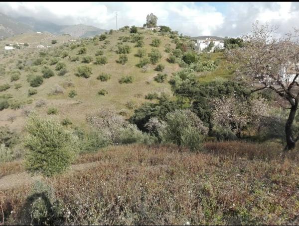 Terreno en Los Frailes s/n photo 4
