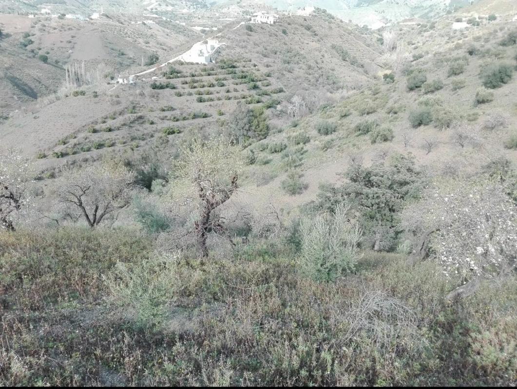 Terreno en venta en Sedella, Malaga photo 5