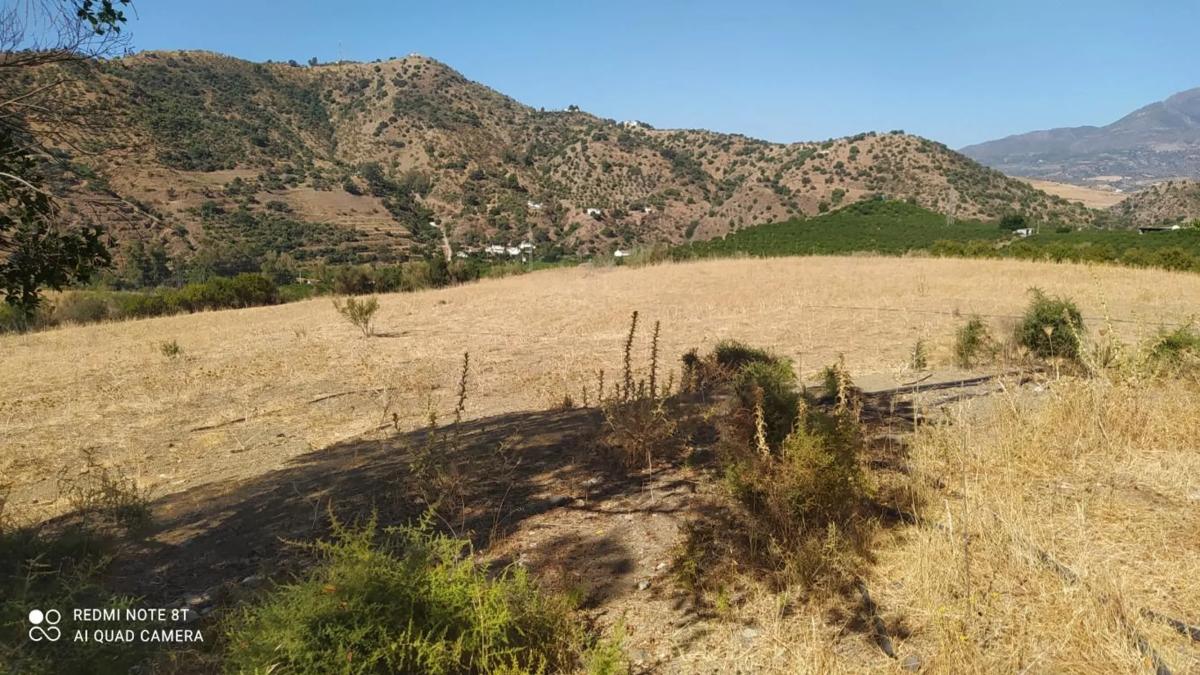 Terreno en venta en Pizarra, Malaga photo 1