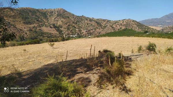 Terreno en Azalea Barriada s/n photo 1
