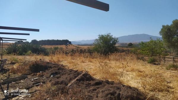 Terreno en Azalea Barriada s/n photo 4