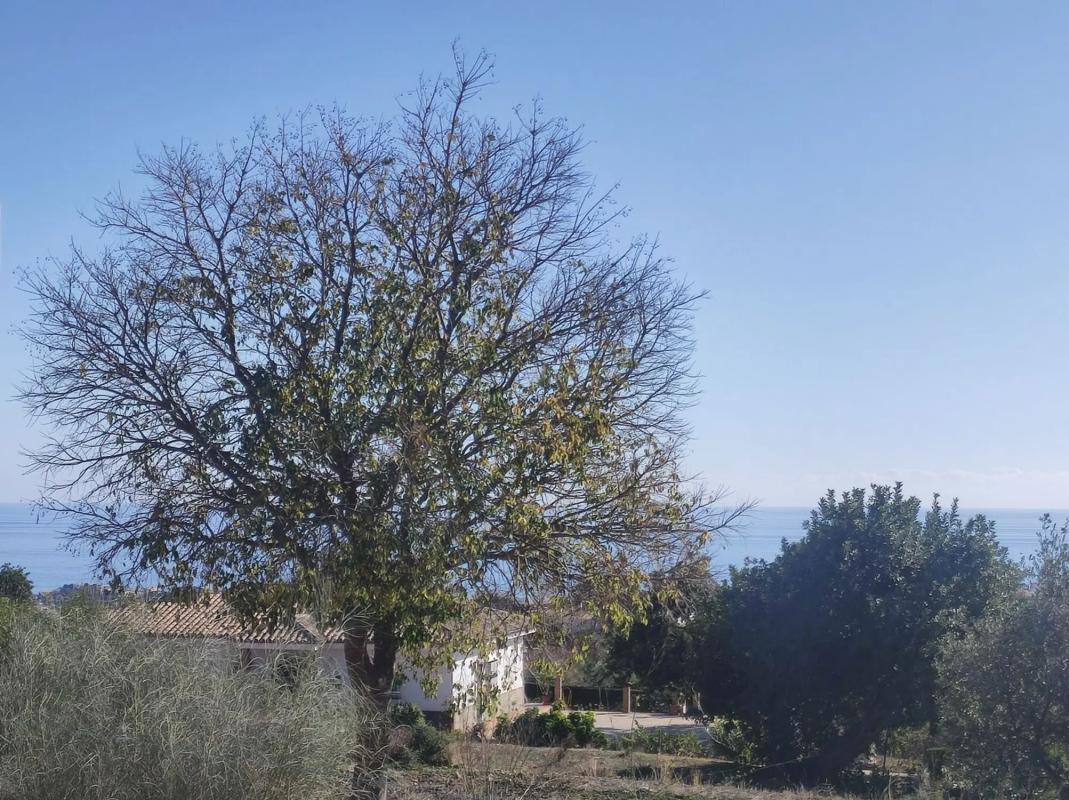 Terreno en venta en Mijas, Malaga photo 4