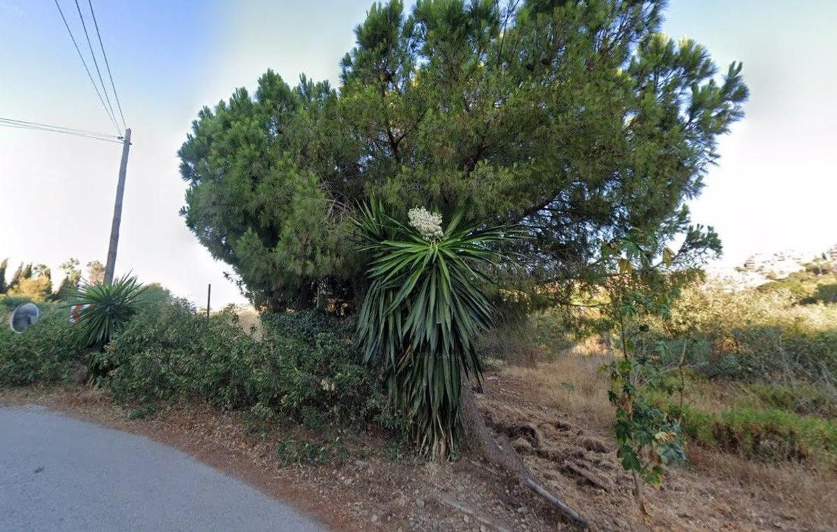 Terreno en venta en Marbella, Malaga photo 2