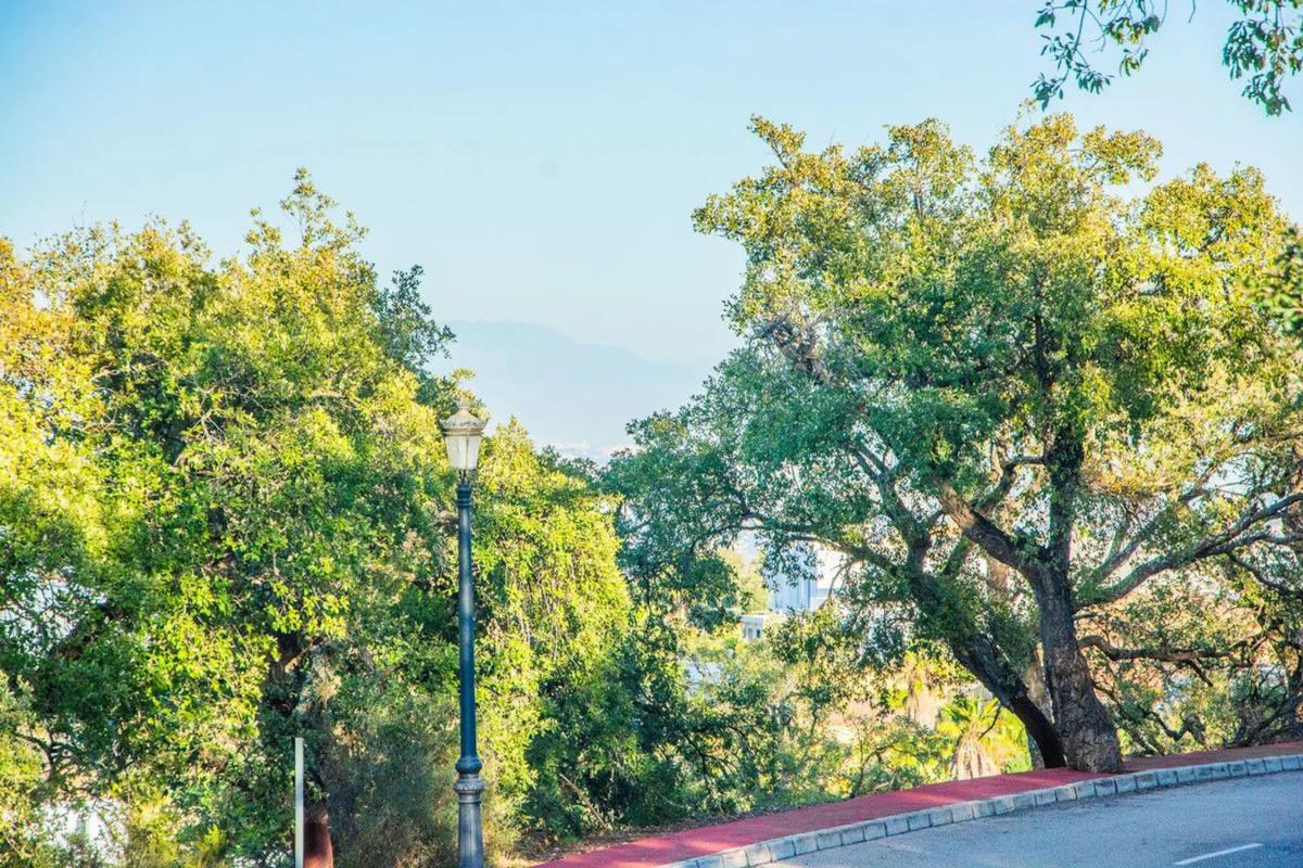 Działka na sprzedaż w Ojén, Malaga photo 4