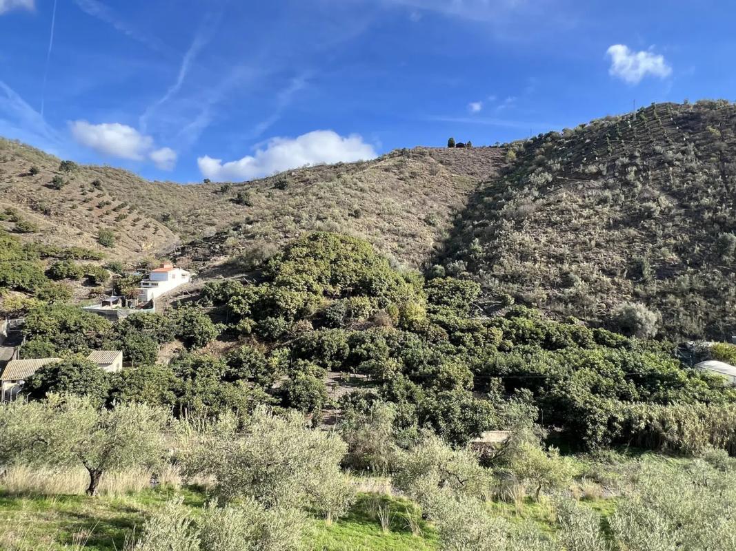 Terreno en venta en Rincón de la Victoria, Malaga photo 2
