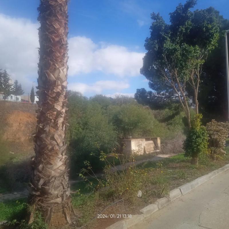 Terreno en venta en Cártama, Malaga photo 5