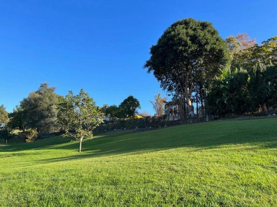 Terreno en venta en Marbella, Malaga photo 2