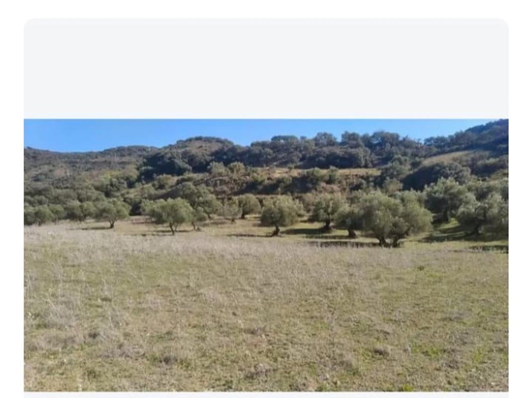 Участок земли на продажу в Химера-де-Либар, Малага photo 3