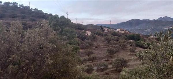 Terreno en calle Carolina photo 1