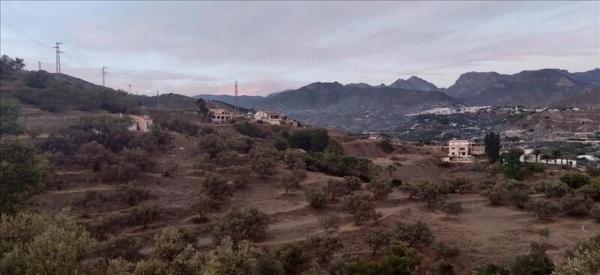 Terreno en calle Carolina photo 4