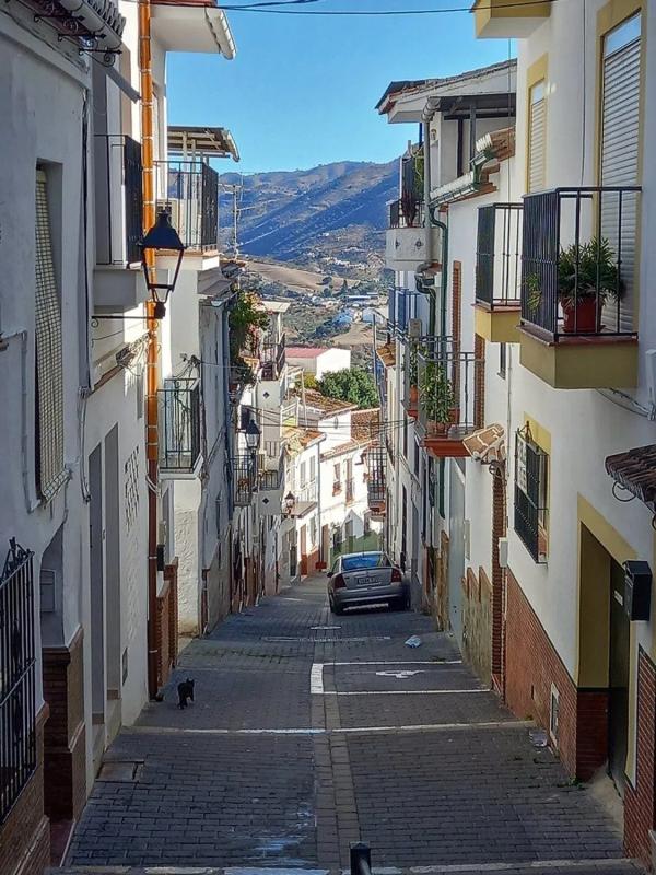 Terreno en venta en Alora, Malaga photo 5