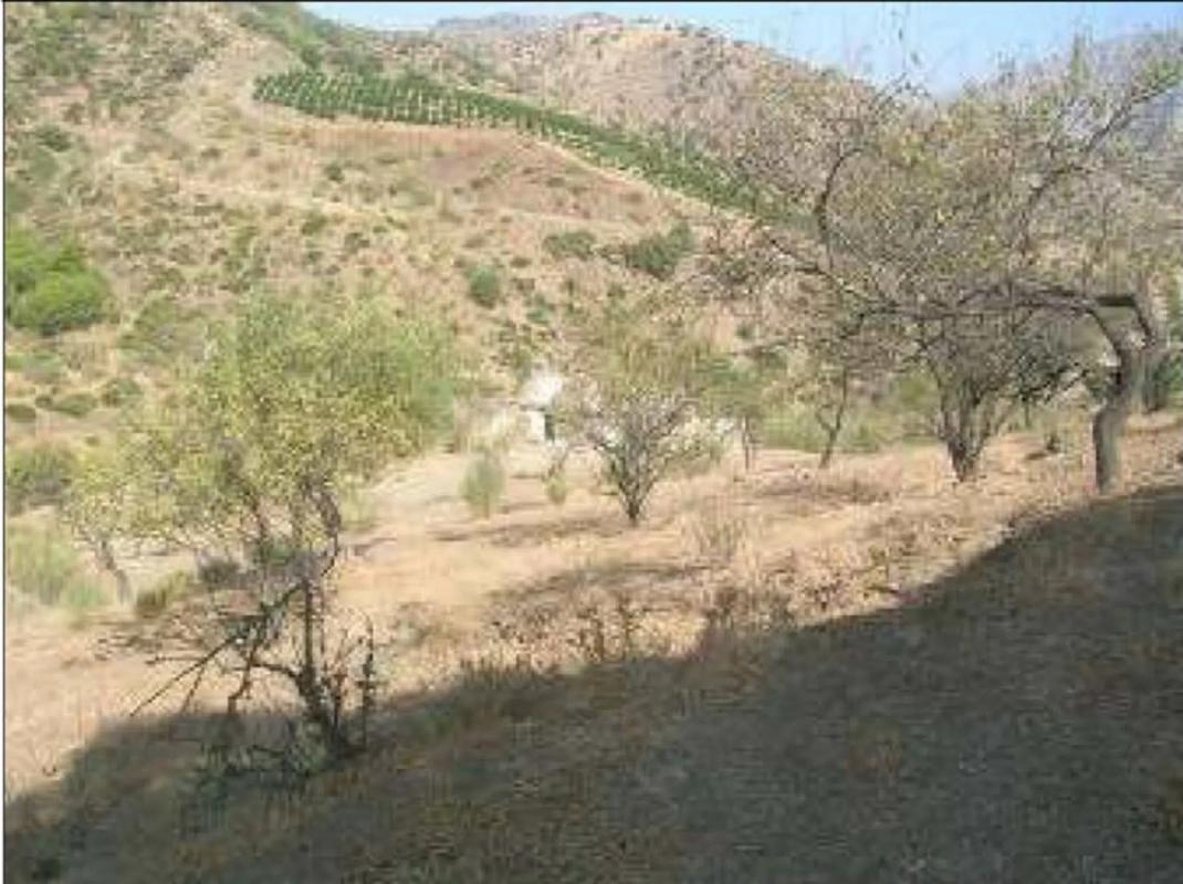 Terreno en venta en Alora, Malaga photo 1