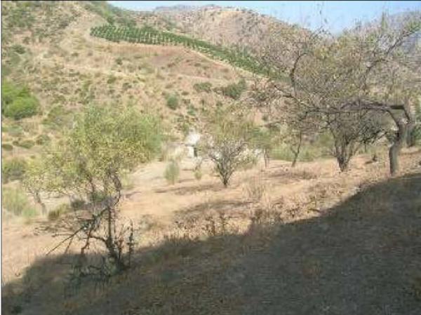 Terreno en V7g5+gj s/n photo 1