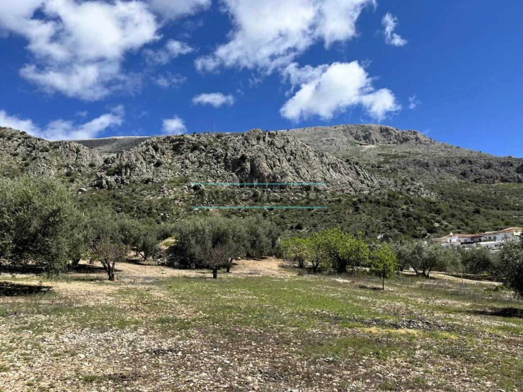 Terreno en venta en Periana, Malaga photo 2