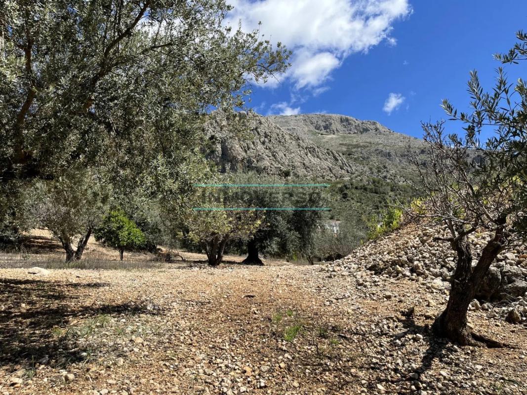 Terreno en venta en Periana, Malaga photo 3