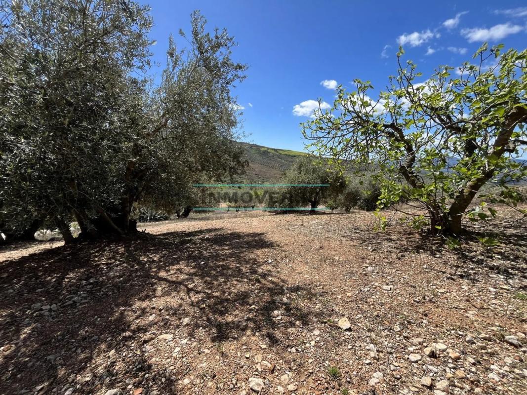 Terreno en venta en Periana, Malaga photo 4