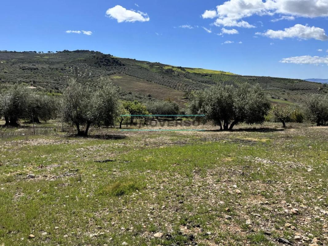 Terreno en venta en Periana, Malaga photo 5