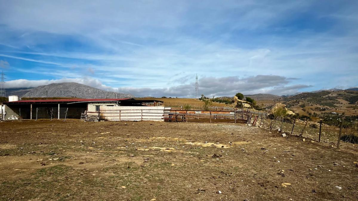 Terreno en venta en Alora, Malaga photo 4