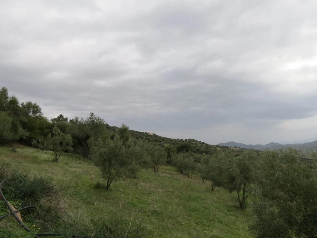 Land for sale in Tolox, Malaga photo 3