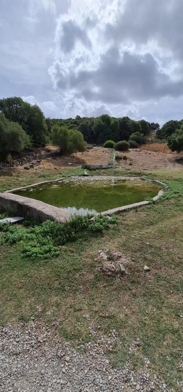 Terreno en venta en Casares, Malaga photo 1