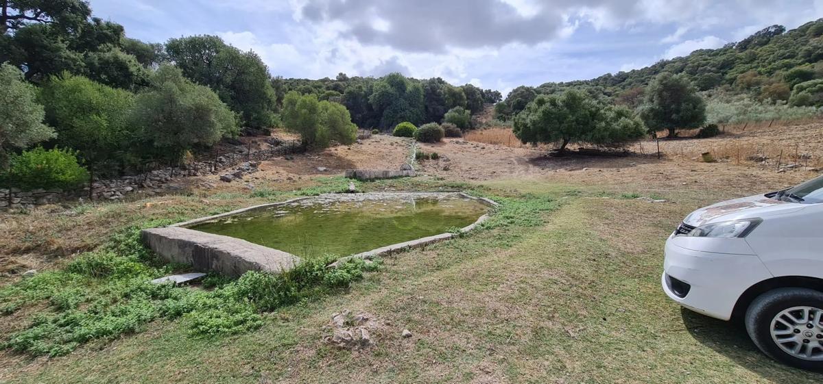 Terreno en venta en Casares, Malaga photo 3