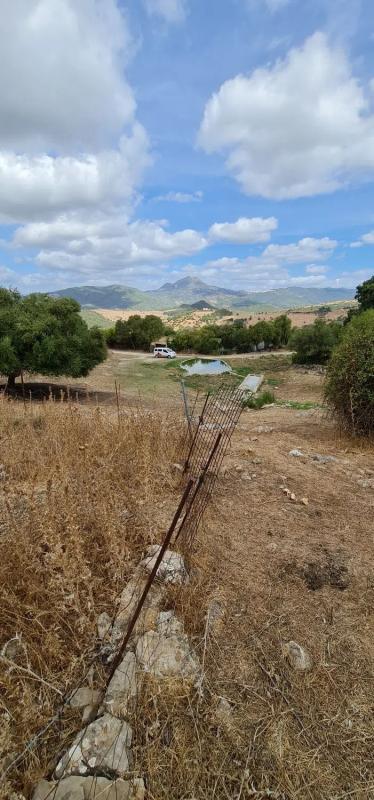 Terreno en venta en Casares, Malaga photo 4