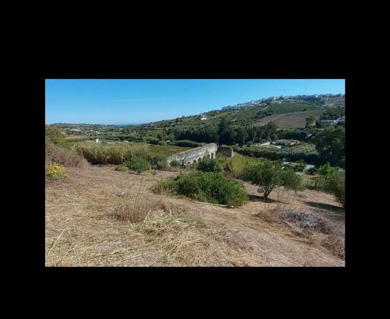Terreno en camino los Baños s/n photo 3