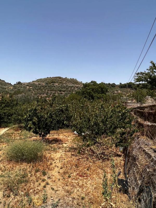 Terreno en venta en Yunquera, Malaga photo 5