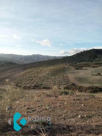 Terreno en Pedregales Bajos s/n photo 1